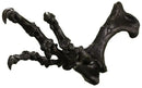 Acrocanthosaurus atokensis Right Arm - Display Replica
