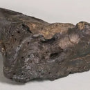 Ankylosaurus cf. magniventris Shoulder Spike - Display Replica On Base