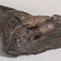 Ankylosaurus cf. magniventris Shoulder Spike - Display Replica On Base