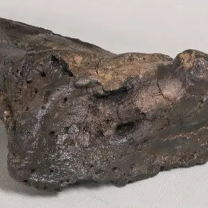 Ankylosaurus cf. magniventris Shoulder Spike - Display Replica On Base