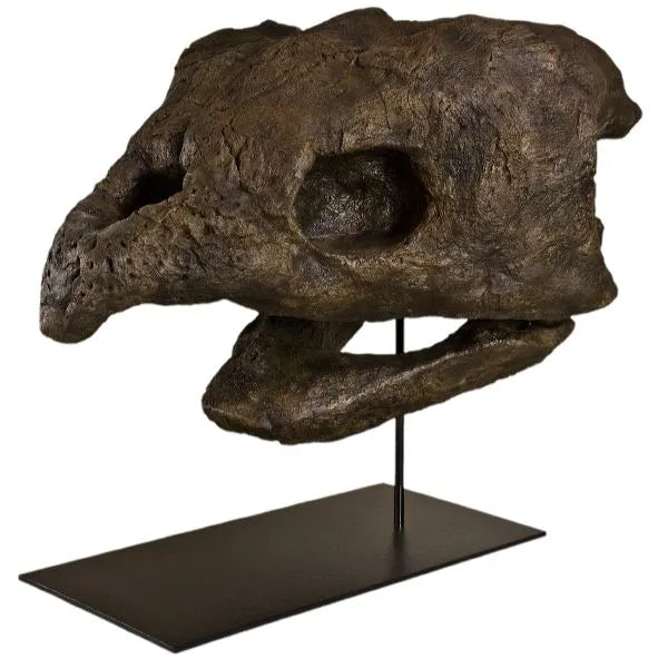 Archelon ischyros Skull on Base - Display Replica