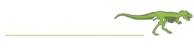BHI logo