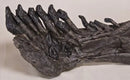 Camarasaurus sp. Right Dentary - Display Replica