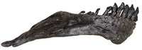 Camarasaurus sp. Right Dentary - Display Replica