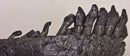 Camarasaurus sp. Right Dentary - Display Replica
