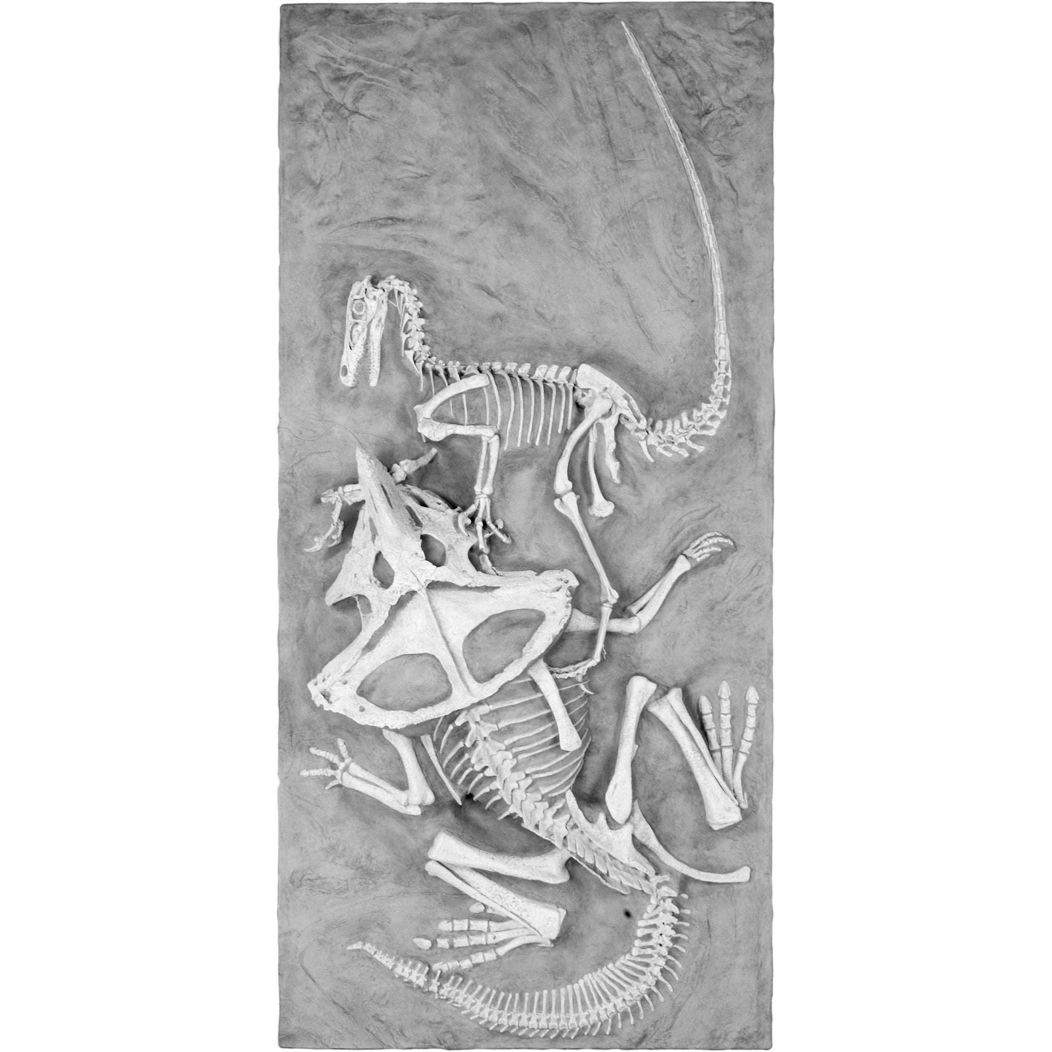 Velociraptor vs. Protoceratops - 'Fighting Dinosaurs' - Solid Color Replica