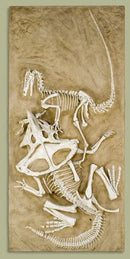 Velociraptor vs. Protoceratops - 'Fighting Dinosaurs' - Display Replica