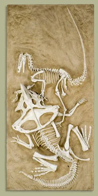 Velociraptor vs. Protoceratops - 'Fighting Dinosaurs' - Display Replica