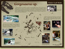 Gorgosaurus sp. Skeleton - Field & Lab Poster