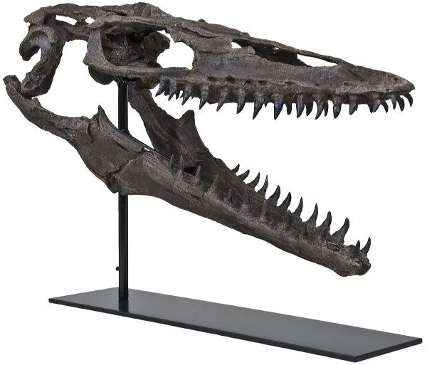 Plioplatecarpus sp. Skull - Display Replica