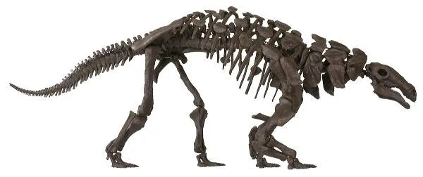 Denversaurus (Edmontonia) cf. schlessmani TANK Skeleton - Display Replica